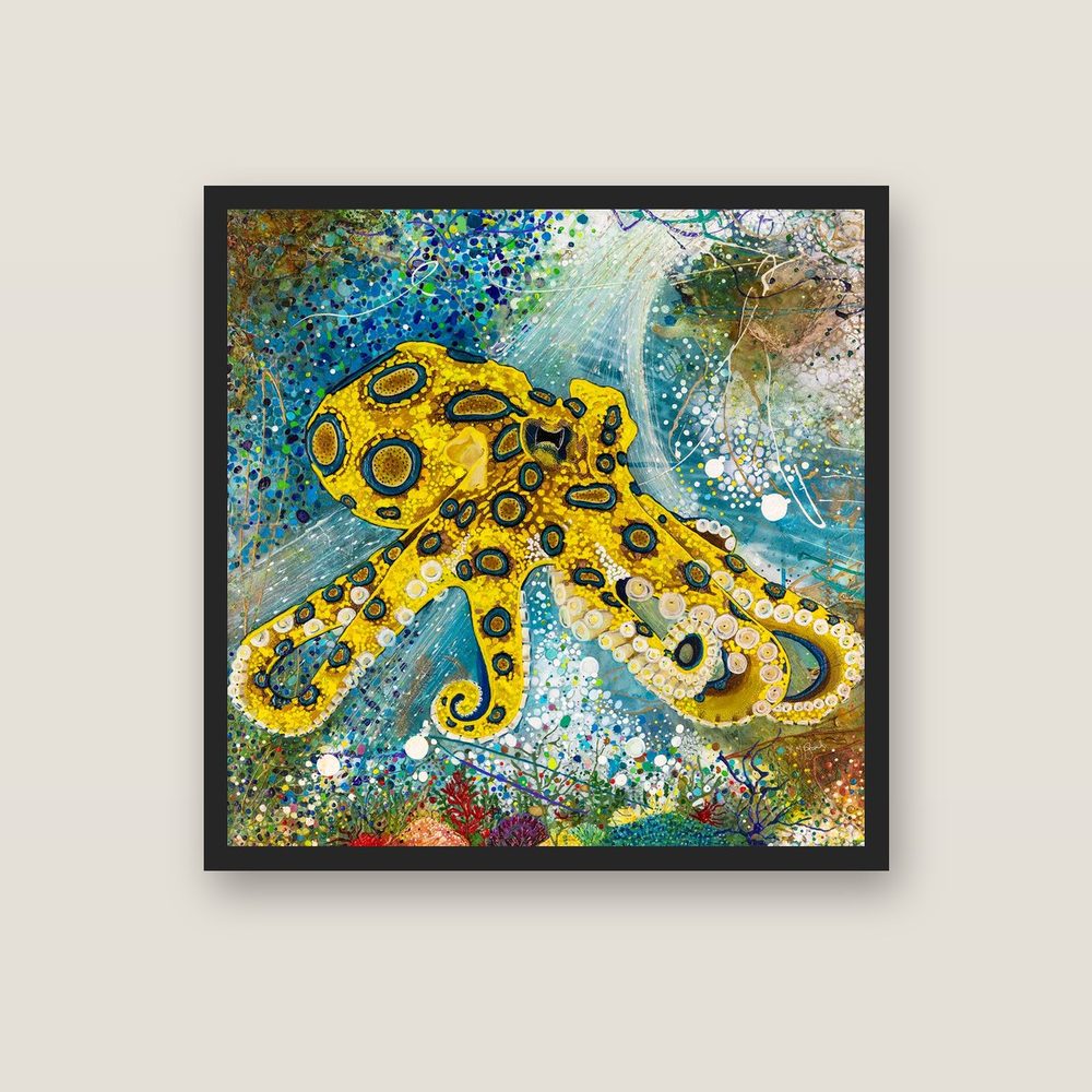 Blue Ring Dance blue-ringed octopus canvas print by Kerrie Grant in a black floating frame