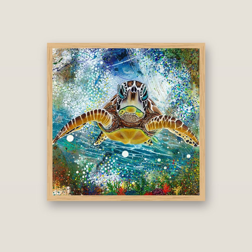 Turtle & Tide Hawksbill turtle art print by Australian artist Kerrie Grant